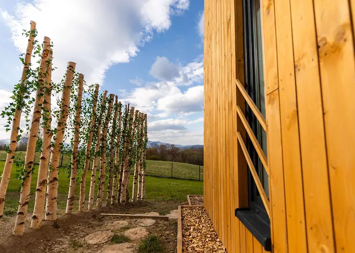 Henry - Prywatna Sauna I Jacuzzi *