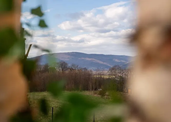 度假居 Henry - Prywatna Sauna I Jacuzzi Żywiec